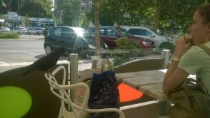 Голуб стрпљиво чека свој део доручка.