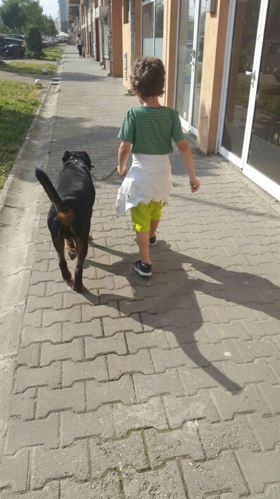 Дечаков најбољи пријатељ