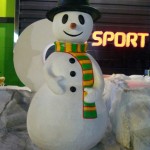 ПРВИ СНЕГ У СВИЛАЈНЦУ