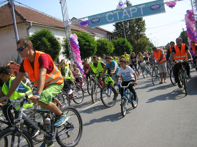 Неуморни стваралац Радомир Угрнић