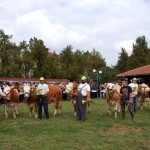 Са 53. пољопривредног сајма у Свилајнцу, септембра 2015.