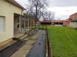 uredjenje_dvorista_pred_zimu