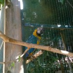 Зоо врт манастира Фанеромени