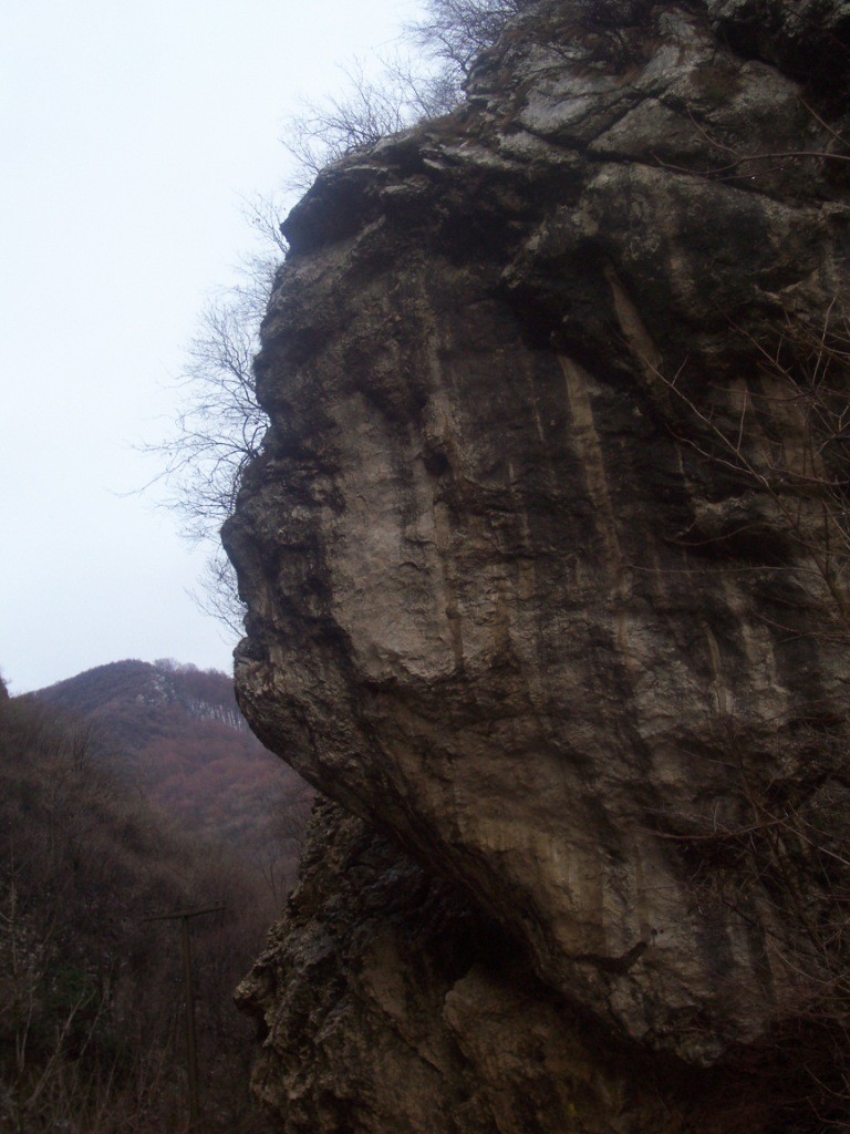 камени лик, фото Р. Угрнић